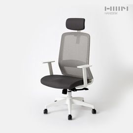 HANSSEM BODYFIT Ergonomic Office Desk Chair 2Color – Adjustable Headrest, S-Shaped Backrest, Breathable Mesh & Water-Repellent Fabric, Quiet Casters, BIFMA Certified _ Made in KOREA